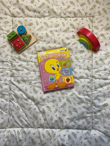 livre mon premier dictionnaire looney tunes