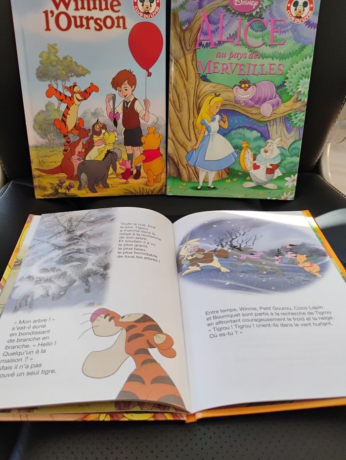 📚 Lot de livres Disney – Très bon état - photo numéro 3