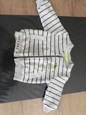 Veste