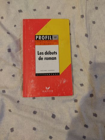 Les Débuts de roman