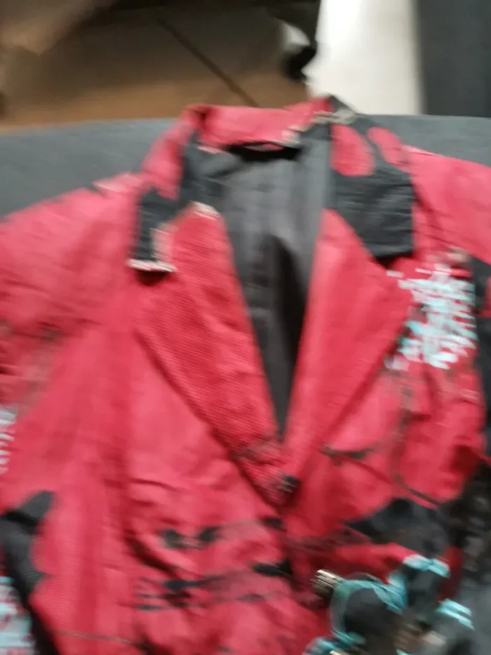 Veste japonaise - photo numéro 6