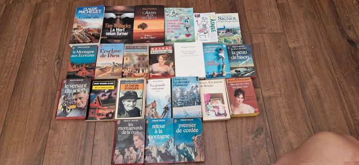 Lot 23 Romans - photo numéro 4