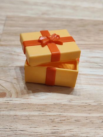 Playmobil boîte cadeau