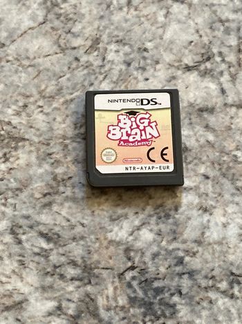 big brain Nintendo ds