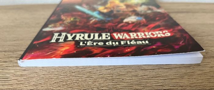 Carnet Hyrule Warriors: L’Ère du Fléau - photo numéro 5