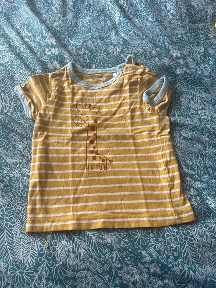 Teeshirt