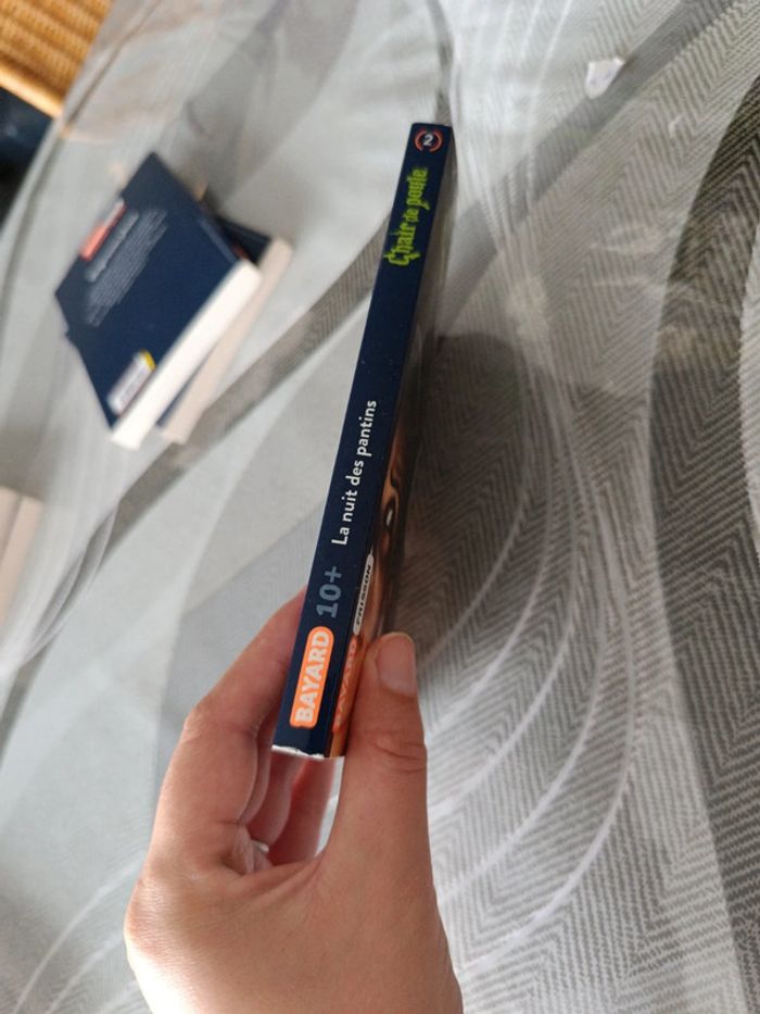 Livre chair de poule - photo numéro 4