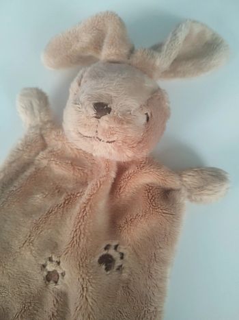 Lapin Empreinte Nicotoy