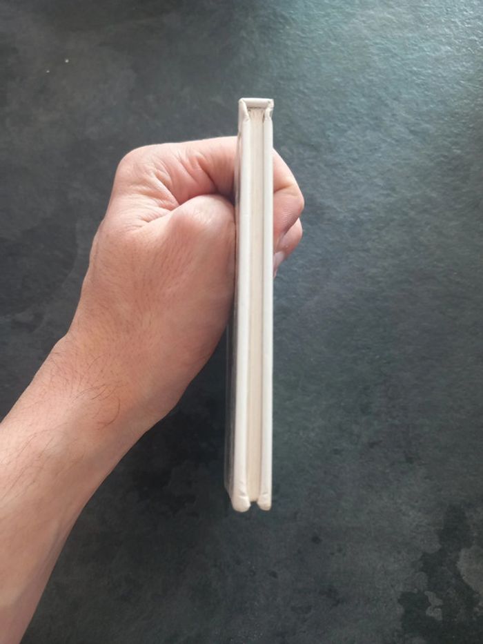 Gris souris - photo numéro 6