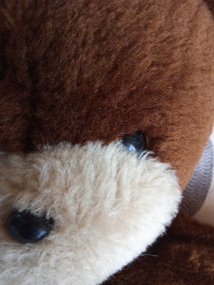 Peluche ours marron foncé / clair  beige   40 cm +/-  vintage ancien bel ours  ourson Boulgom  en posture debout  nez noir dur  yeux noirs en plastique - photo numéro 4