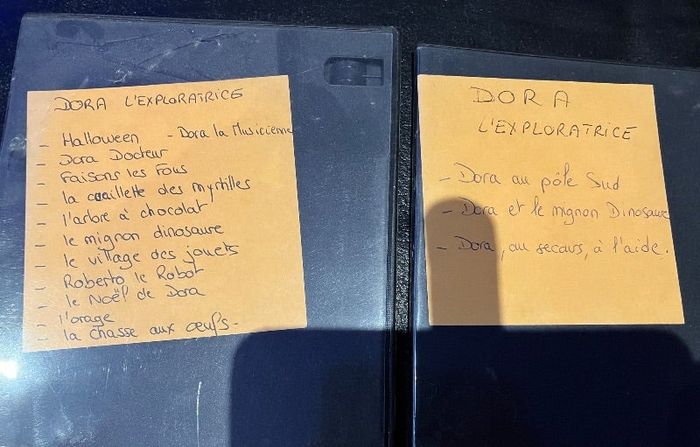 Lot 2 dvd Dora