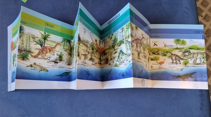 Coffret montessori dinosaures - photo numéro 4