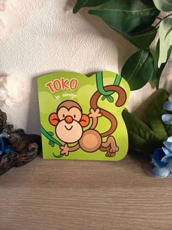 Toko le singe 🐒