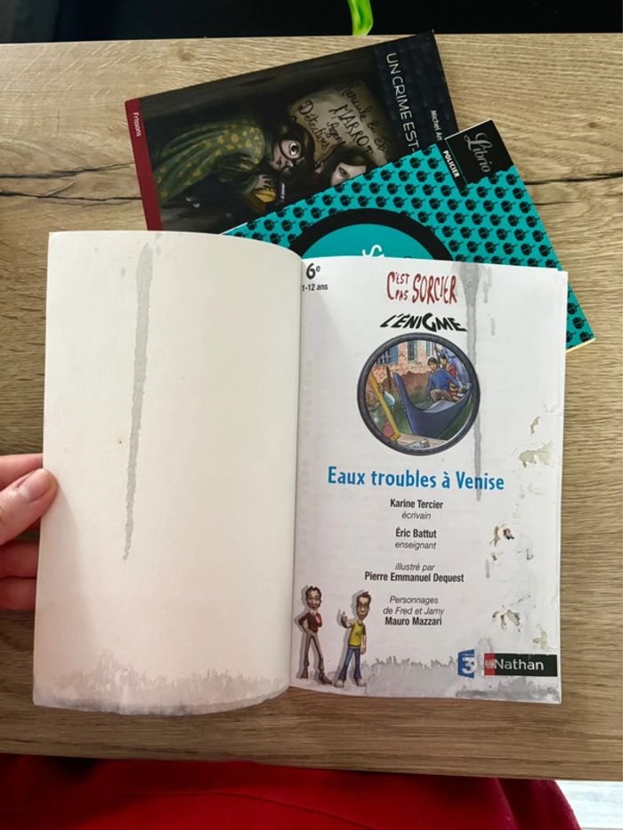 Lot de livres Énigmes pour enfants - photo numéro 5