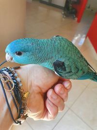 profil
