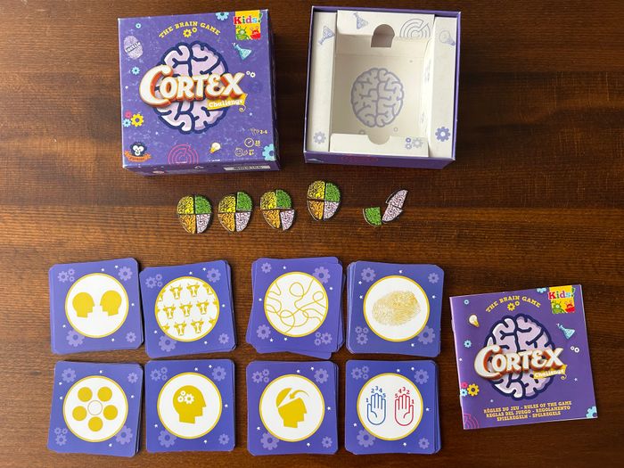 cortex - photo numéro 2