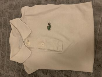 Polo Lacoste 🐊