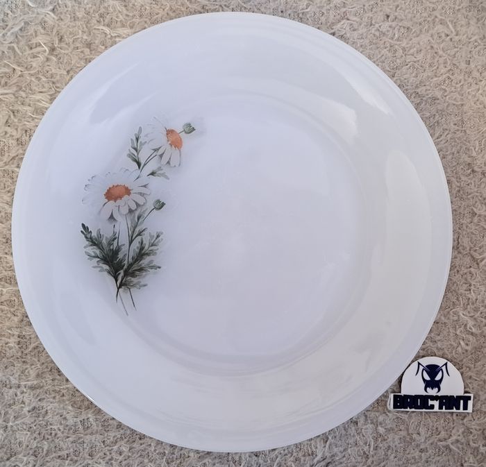 Lot de 6 assiettes à dessert Arcopal France décor Marguerites - photo numéro 2
