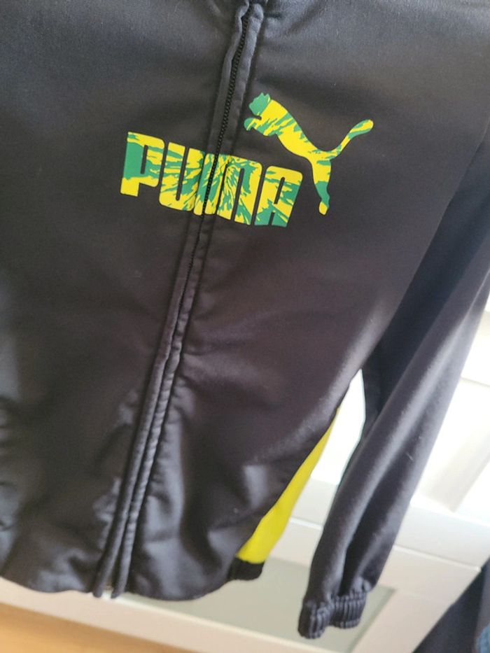 Veste survêtement - photo numéro 2