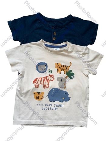 Lot 2 tee-shirts 18 mois