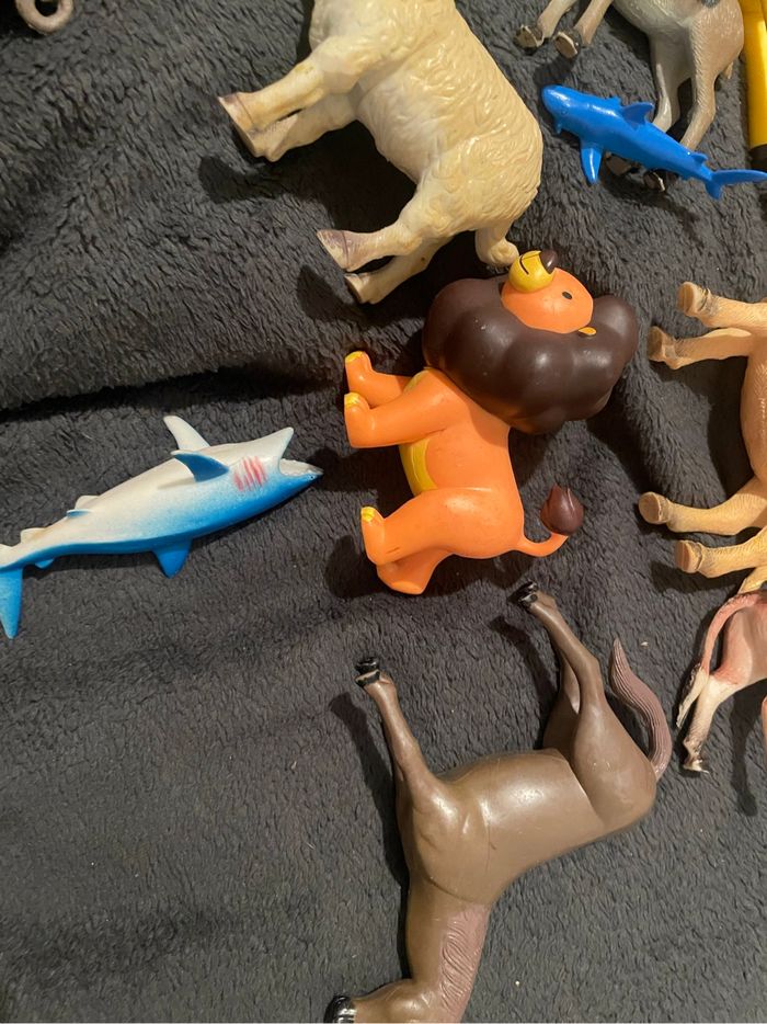 Lot animaux - photo numéro 10