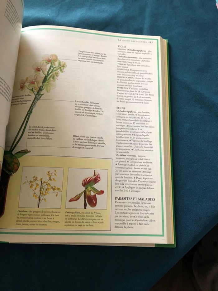 Livre Encyclopédie pratique des plantes d’intérieur - photo numéro 4