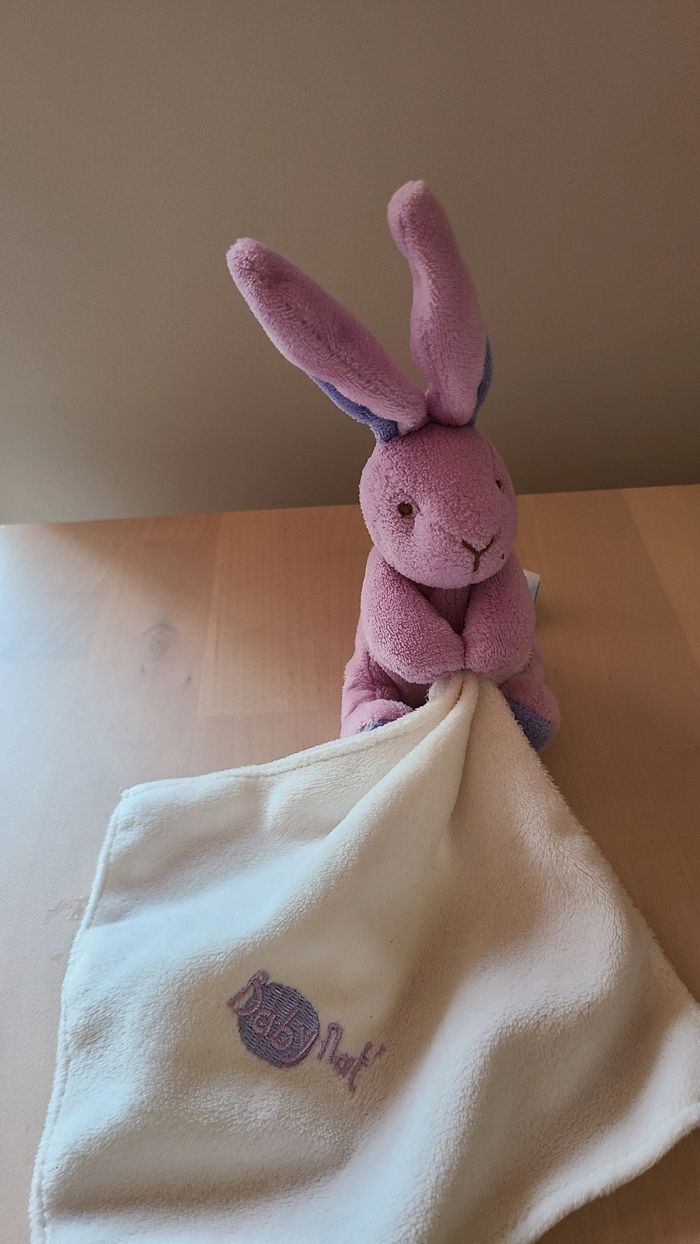 Doudou lapin - photo numéro 3