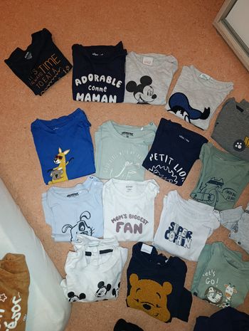Lots 19 tee-shirt manches longues et pull bebe garçon taille 18 mois