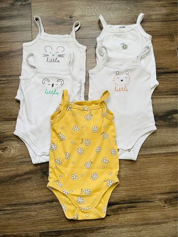 Lot 5 bodies