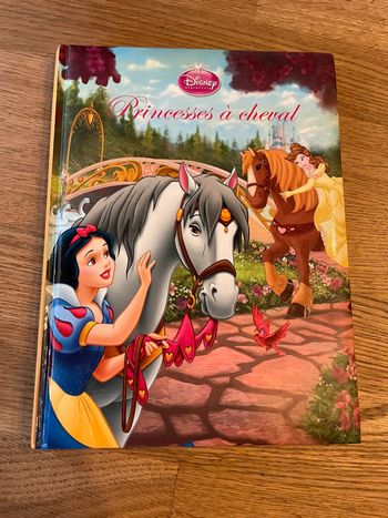 Livre Édition France Loisirs Disney Princesses à cheval