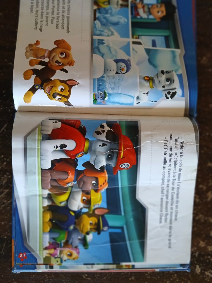 Livre pat patrouille - photo numéro 5