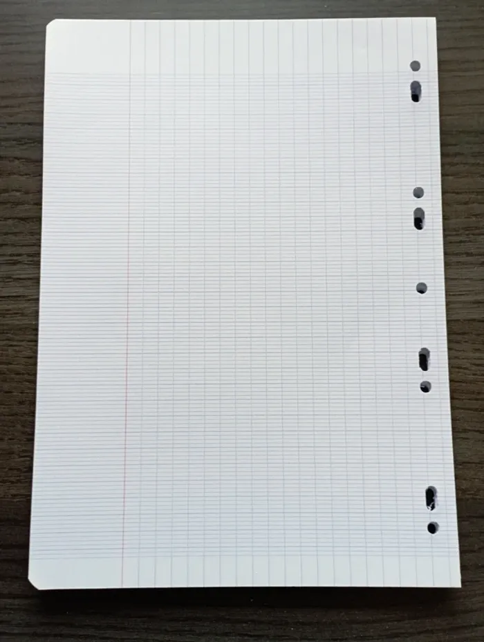 Lot feuilles simples A4 grands carreaux perforées - photo numéro 2