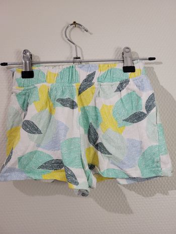Short motif citron