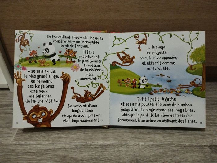 Livre Petit Panda Agathe sauve la planète - photo numéro 4