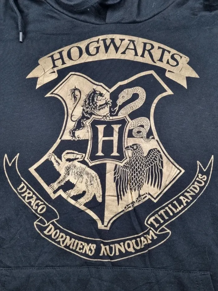 Pull à capuche Harry Potter noir/doré, XXL Hommes - photo numéro 5