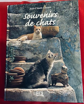 Souvenirs de chats