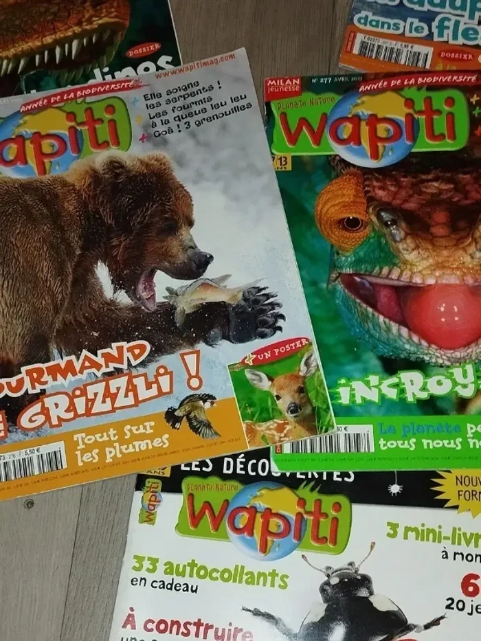 Lot de 7 magazines Wapiti année 2009-10 L026 - photo numéro 8