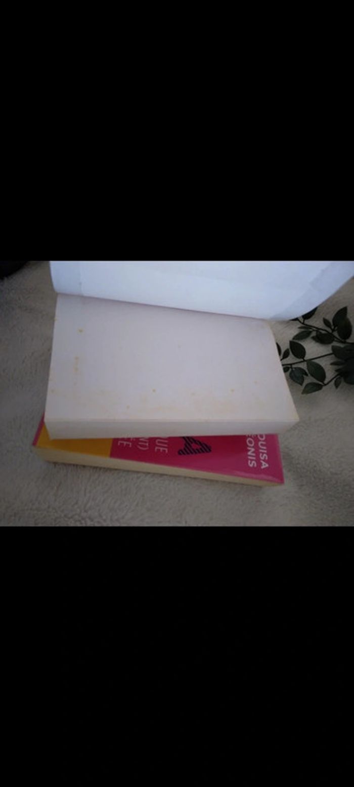 🌸Lot de 3 livres de romance. Lola petite grosse et exhibitionniste 🌸 - photo numéro 6