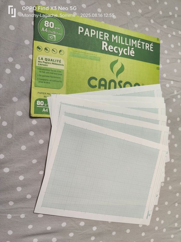 6 feuilles de papier millimétré recyclé canson 80g/M2 A4 21x29,7cm  Réduction jusqu'à -70%