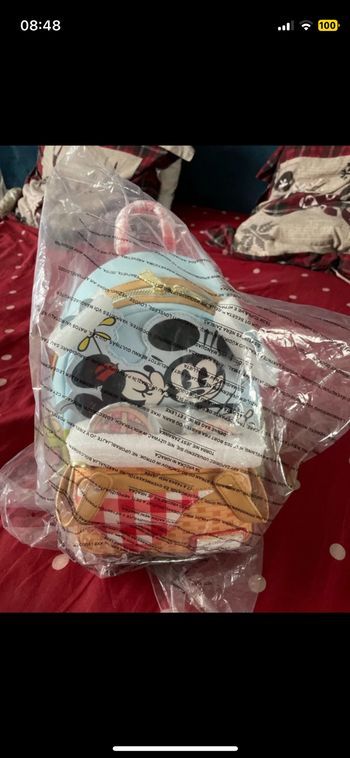 Loungefly picnic Mickey