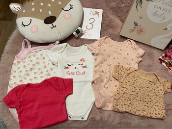 Lot de 5 body 3M MC