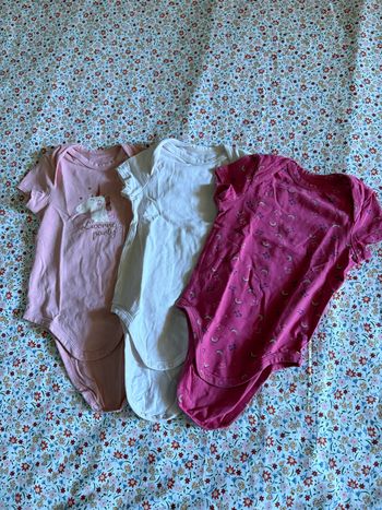 Lot bodies