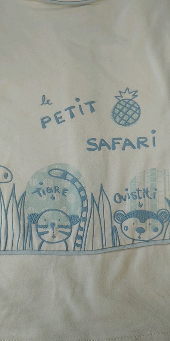 Tee shirt manches longues doublé Garçon 9 mois Sucre d'orge "Le petit safari" 100% coton - photo numéro 5