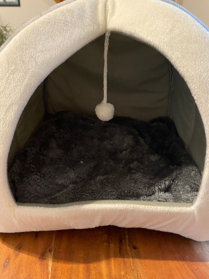 Cabane pour chat - photo numéro 5