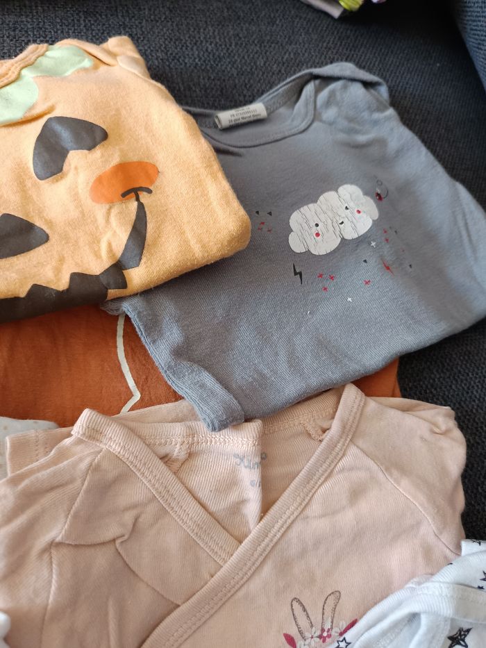 Lot de 10 bodys fille 6 mois - photo numéro 4