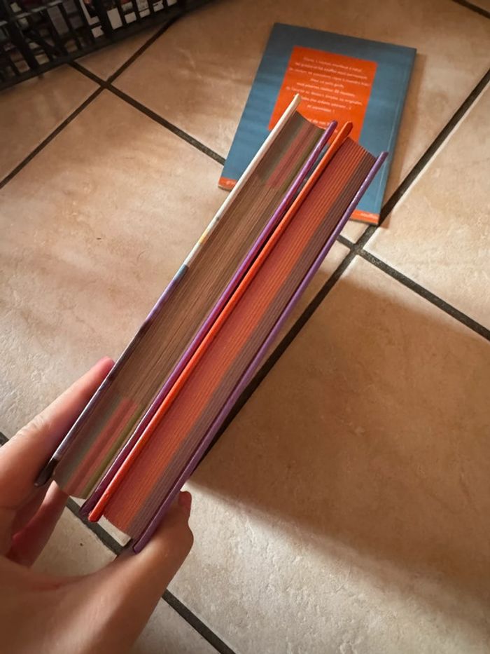 Livres de cuisine été / hiver - photo numéro 4