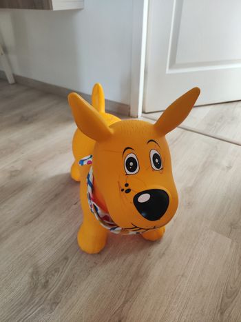 Chien sauteur Ludi