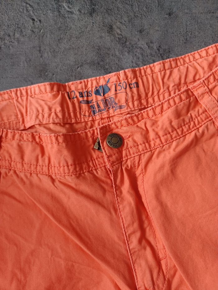 Bermuda sergent major - photo numéro 2