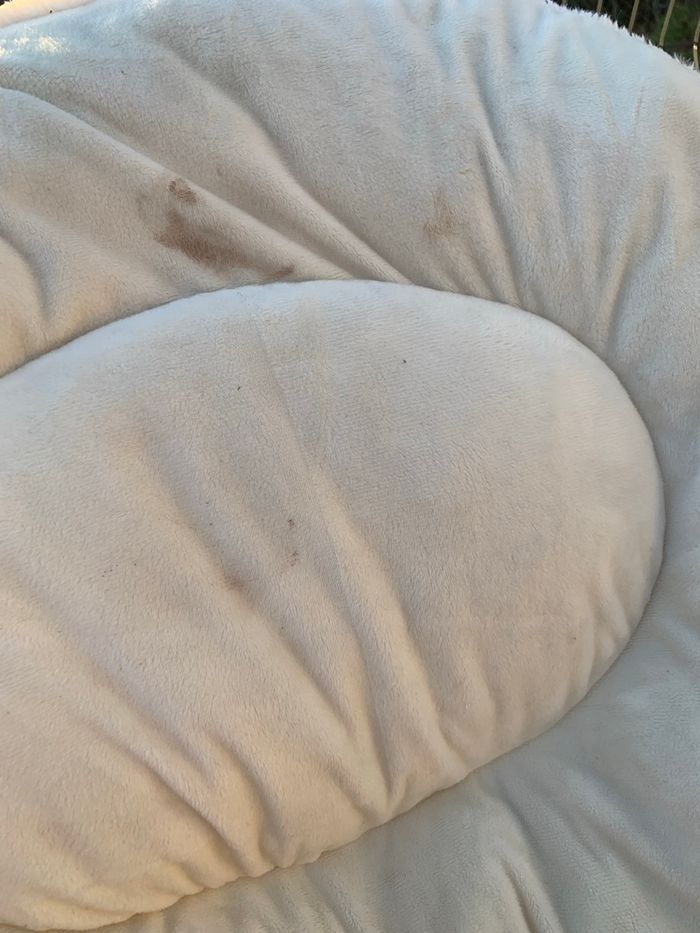 Fauteuil coquillage enfant - photo numéro 3