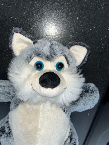 Petit sac à dos pour la maternelle, renard fourrure gris blanc, les yeux sont bleu